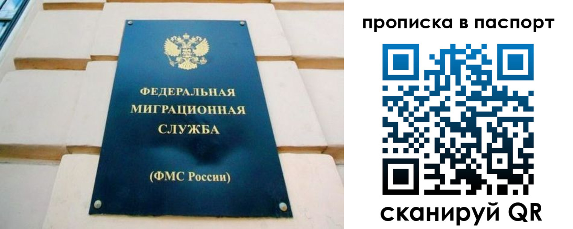 временная регистрация гарантия в Камчатском крае